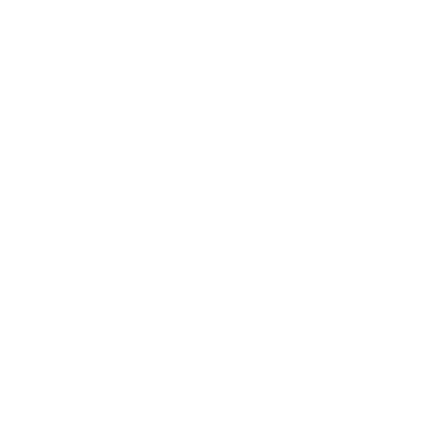 IT SICHERHEIT