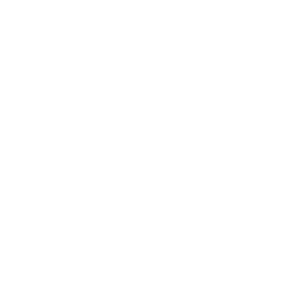 SOFTWARE ENTWICKLUNG